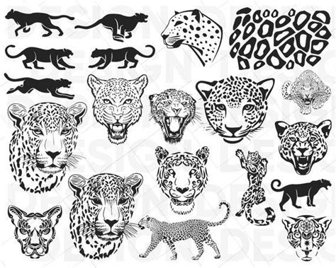 Leopard Svg Bundle Leopard Head Svg Cricut Cameo Silhouette | Etsy in 2022 | Leopard tattoos ...