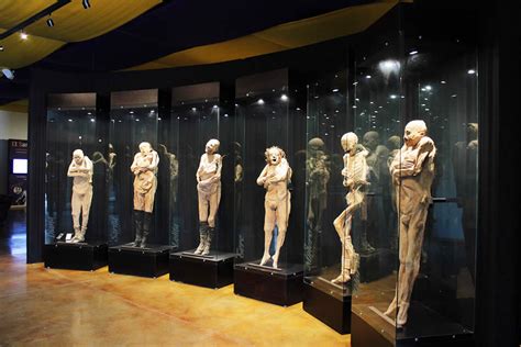 Museo de las Momias Viajeras en Guanajuato - TuriMexico