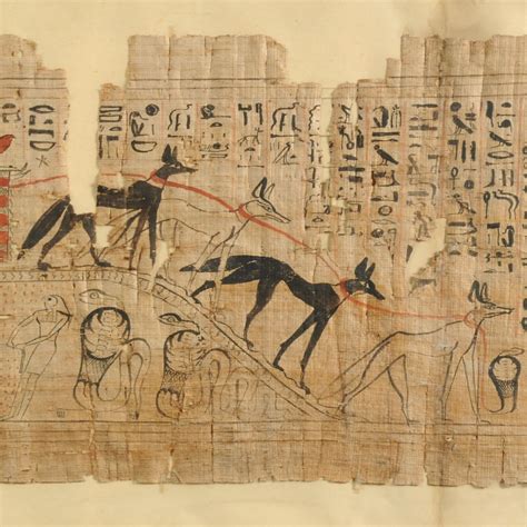 Turin erotic satirical papyrus - Egypt Museum