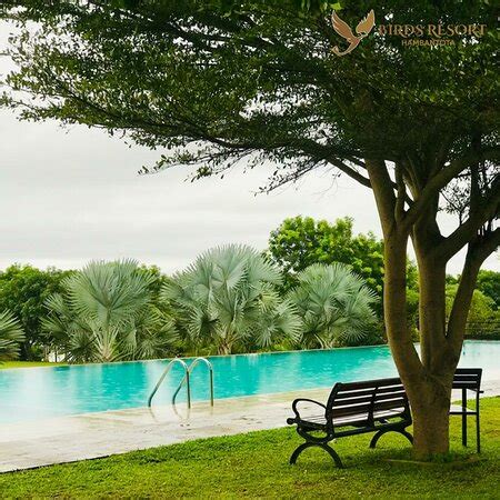 THE 10 BEST Hotels in Hambantota for 2021 (from $12) - Tripadvisor