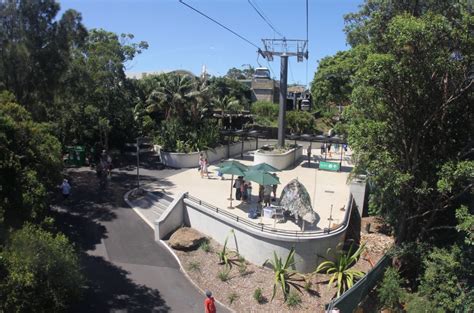 The Most Exciting Summer Activities at Taronga Zoo in Mosman - Mosman Today