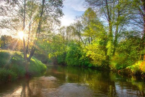 Beautiful River Scene at Sunrise. Green Summer Landscape on Riverside. Scenery River. Bright Sun ...