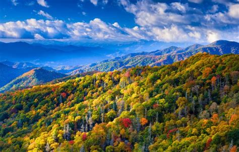 The 20 Best Places to See Fall Foliage in the Smoky Mountains