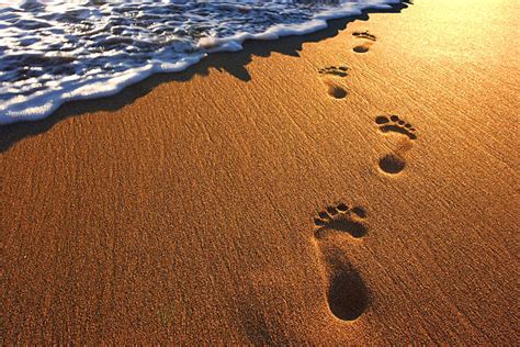 Free footprint in sand Images, Pictures, and Royalty-Free Stock Photos ...