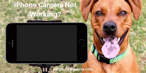 iPhone Camera Not Working: Why and How to Fix It ? - iKeema