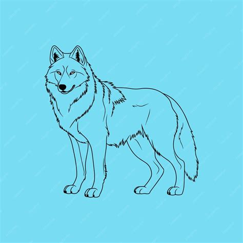 Premium Vector | Siberian husky puppy line art alaskan malamute alaskan husky