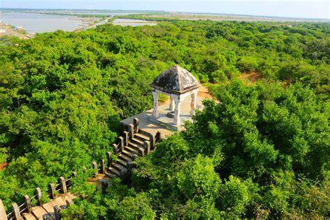 vedaranyam temple: Vedaranyam kodiakkarai nature