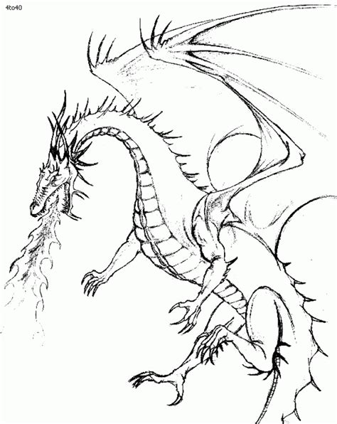 Fire Breathing Dragon Drawing at GetDrawings | Free download