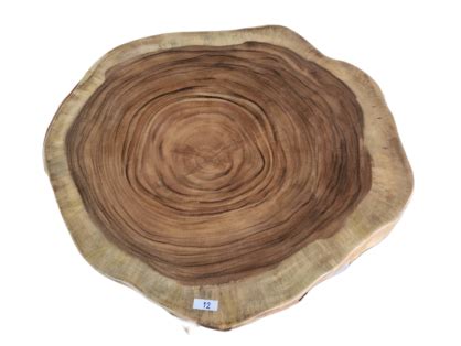 Wholesale Unique Saur Wood Round Coffee Table, generous 95cm across one of kind 100% unique ...