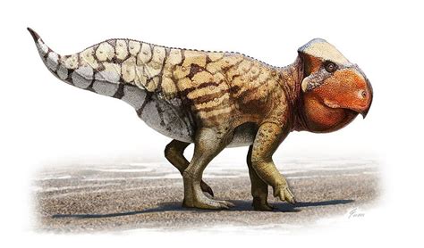 Udanoceratops by Olorotitan on DeviantArt | Dinosaur art, Dinosaur ...