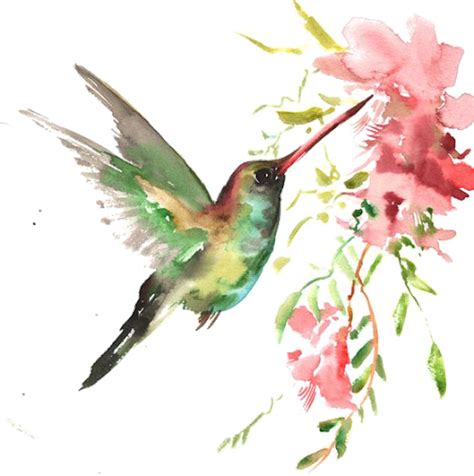 Hummingbirds Clipart Flowers Png Watercolor Painting Birds | The Best ...