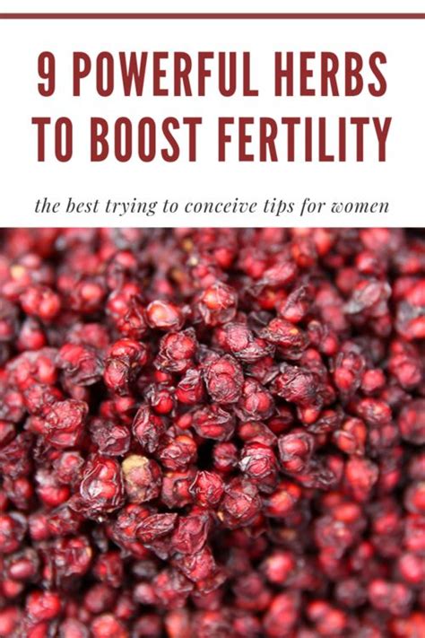 9 Powerful Herbs to Boost Female Fertility (+VIDEO) — The Aweslims ...