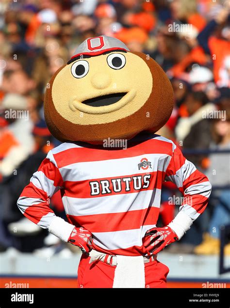 Ohio State Buckeyes mascot Brutus is seen during an NCAA football game ...