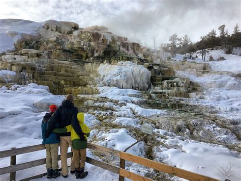 Top Things to Do in Yellowstone in Winter - Yellowstone Trips