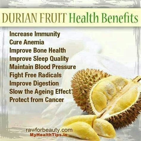 Durian fruit benefits Nutrition Guide, Healthy Nutrition, Nutrition Facts, Nutrition Help ...