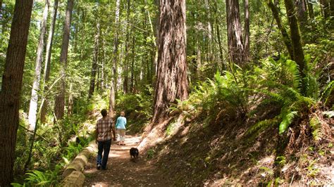 5 Stress-Busting Hikes in Southern Oregon - Travel Oregon