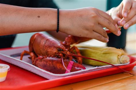 Red Lobster and Corn on the Tray · Free Stock Photo