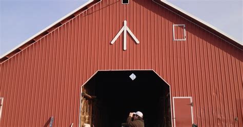 Birding Is Fun!: How to find a Barn Owl