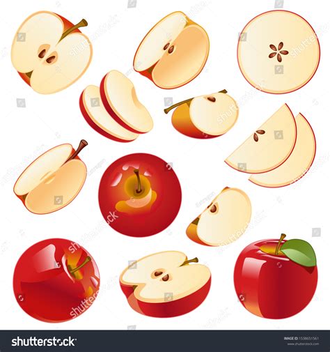 Vector Image Isolated Drawing Apples On Stock Vector (Royalty Free ...