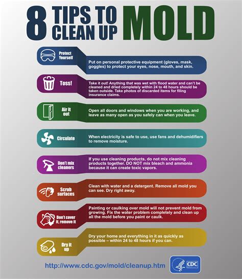 What to Do if Your House has Mold – Health Risks and Tips to Remove Mold | Pressure Washing ...