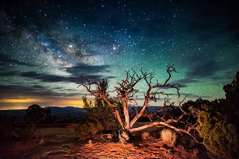 Milky Way Tree In Canyonlands National Park Photograph by Dean Bjerke ...