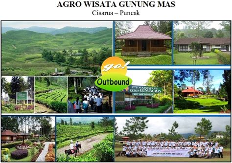 Outbound Agro Wisata Gunung Mas Cisarua Puncak | GO OUTBOUND