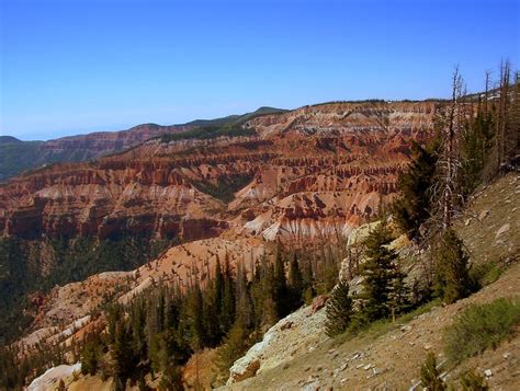 Hiking in Cedar Breaks National Monument in July | Smithsonian Photo ...