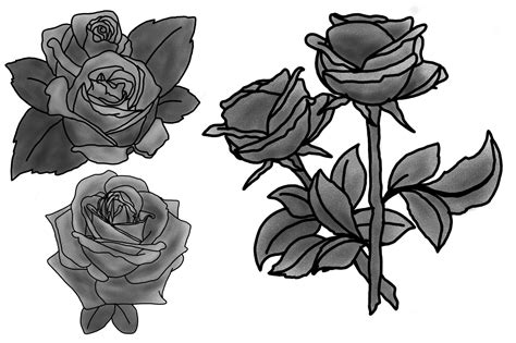 Rose Illustration with Pencil Shading Graphic by Arief Sapta Adjie ...