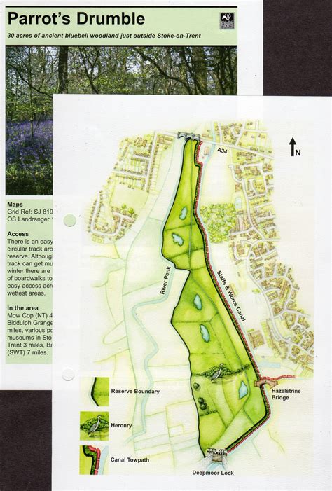 Wildlife Trust Nature reserve Maps - Lizzie Harper