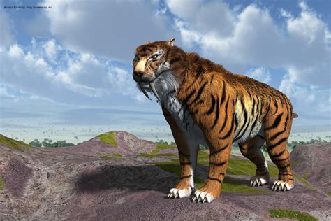 Saber Toothed Tiger Wallpapers - Wallpaper Cave