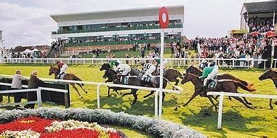 Great Yarmouth Racecourse, Great Yarmouth, Norfolk - We boast a modern contemporary venue that ...