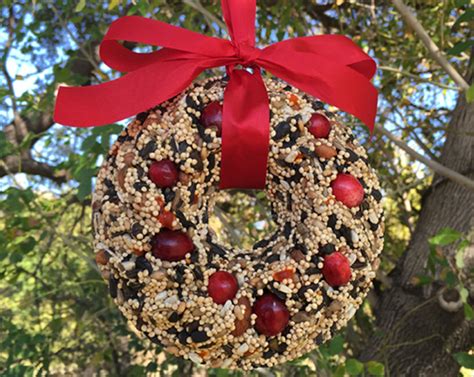 Bird Seed Wreath with Winky Cups - Lakeview Farms