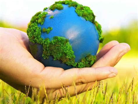 World Environment Day: Bengaluru wants its greenery back - Oneindia News