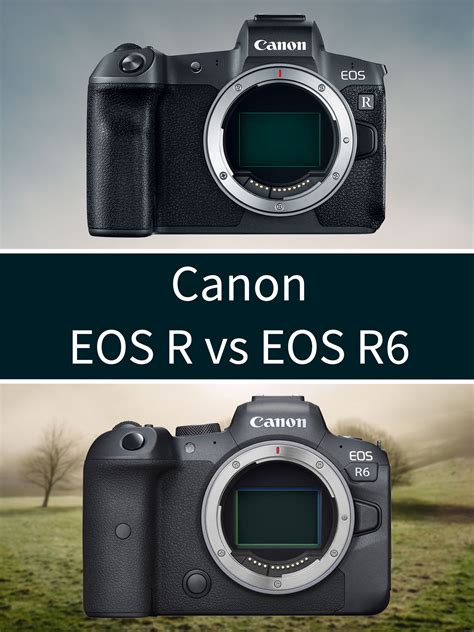 Canon EOS R vs R6 Comparison - Mirrorless Comparison