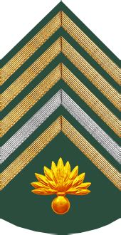 Military ranks of the Brazilian Army