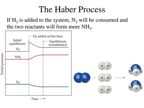 PPT - Intro to Equilibrium – Chapter 18 PowerPoint Presentation, free ...