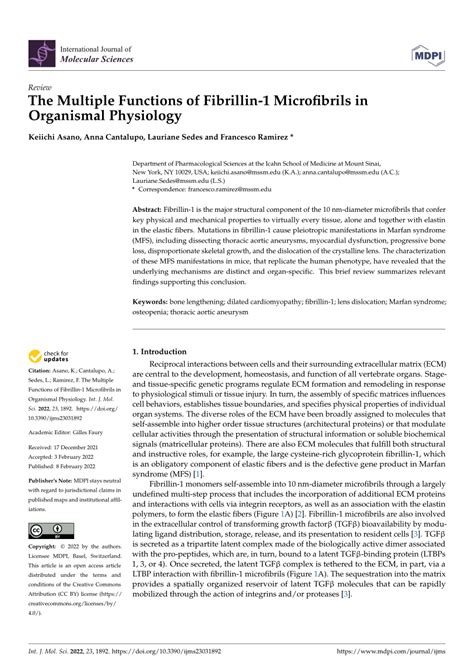 (PDF) The Multiple Functions of Fibrillin-1 Microfibrils in Organismal Physiology