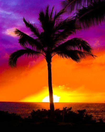 THE COLORS OF A TROPICAL SUNSET | BEAUTIFUL PHOTOS of PLACES & THINGS…