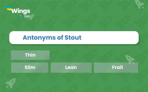 11+ Antonyms of Stout, Meaning and Examples - Leverage Edu