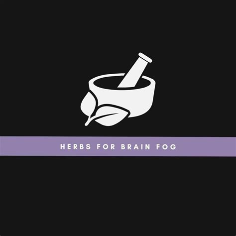 15 Best Herbs for Brain Fog: Clearing the Cloud - Neuro Section9