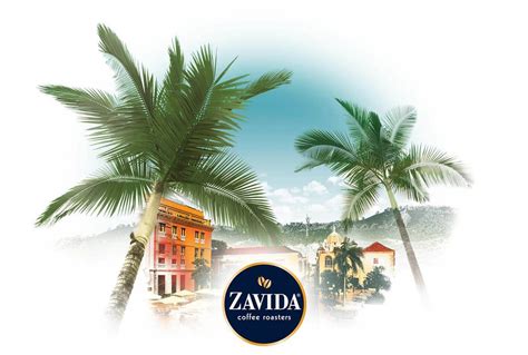 Zavida - Get seen clearly