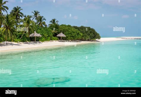 Amazing blue lagoon and tropical island in Maldives Stock Photo - Alamy