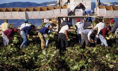 Migrant Farm Workers: Our Nation’s Invisible Population | 6-12