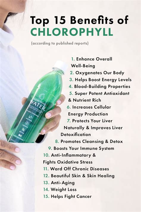 Top 15 Benefits of Chlorophyll, Liquid Chlorophyll Drops, and ...