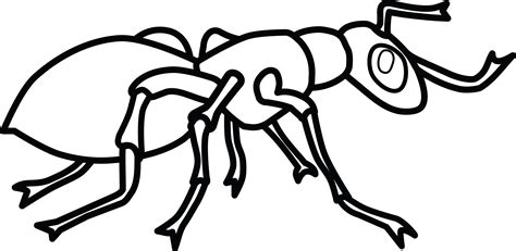 Ant Clipart Black And White & Ant Black And White Clip Art Images - HDClipartAll