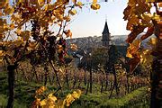 Category:Vineyards in Ribeauvillé - Wikimedia Commons