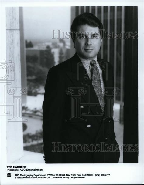 1995 Press Photo Ted Harbert President ABC Entertainment - spp00253 ...