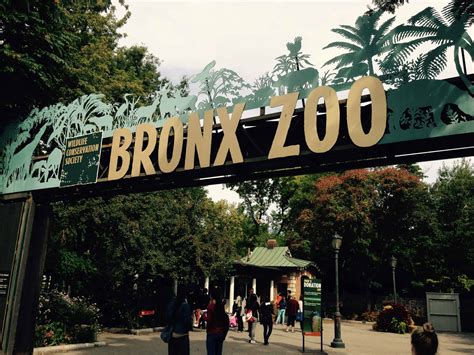 Zoo_Bronx_008 - Reiseblog