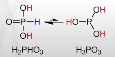 Oxoacids of Phosphorus - List, Structure, Uses, Videos