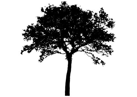Clipart - tree silhouette 4